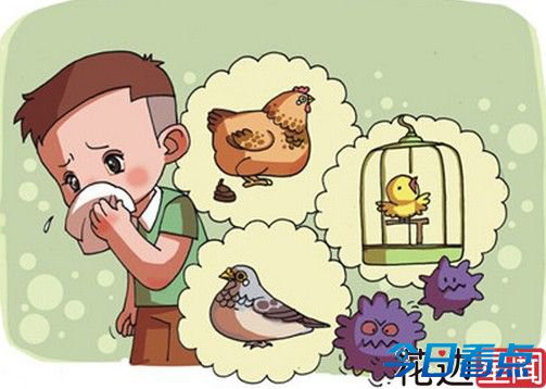 H7N9疫情仍在扩散 疫苗研发已基本完成临床前研究
