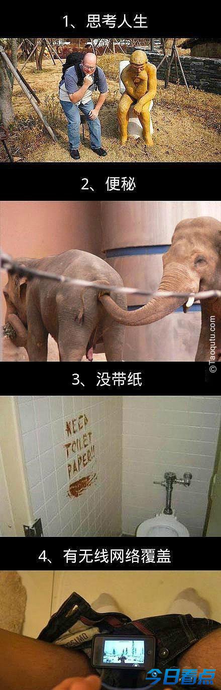 蛋疼