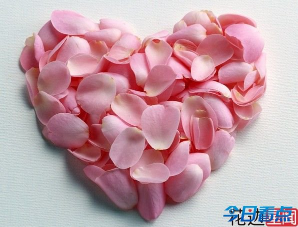 情人节单身男号召网友“买光单号电影票”受热捧