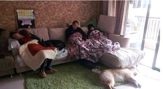 春晚成催眠神药网友晒照睡倒一片