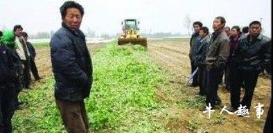 62岁老汉不堪19岁儿子打骂挖将其活埋 患有严重精神病