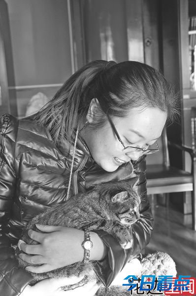 有了“猫保安”故宫无鼠患