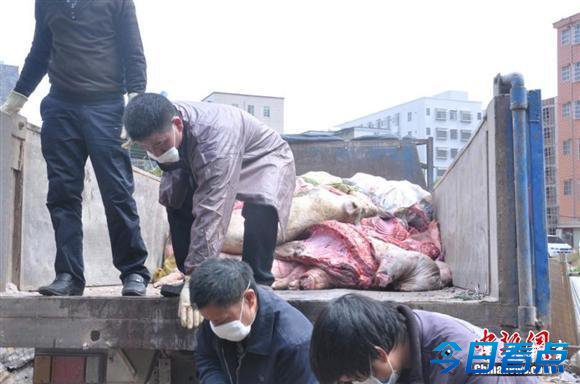 广东查获近8000斤病死肉 拘2人