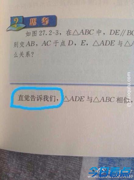 熊孩子