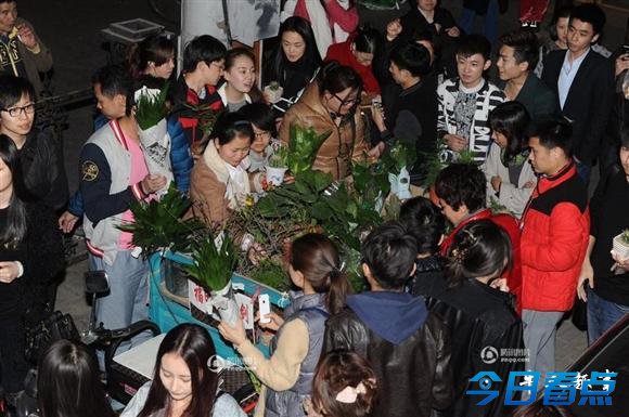 北京老人卖花为子治病 网友抢购不找零