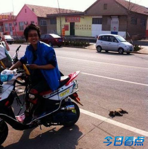 男子将小狗拴摩托车后座拖拽行驶致其死亡