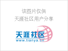 史上最强分析!全明星阵容面相透彻吐槽