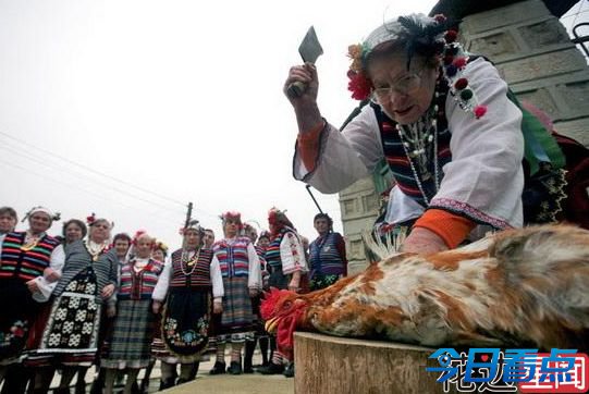 公鸡被宰前开口说人话 小镇大乱当地人惊慌失措