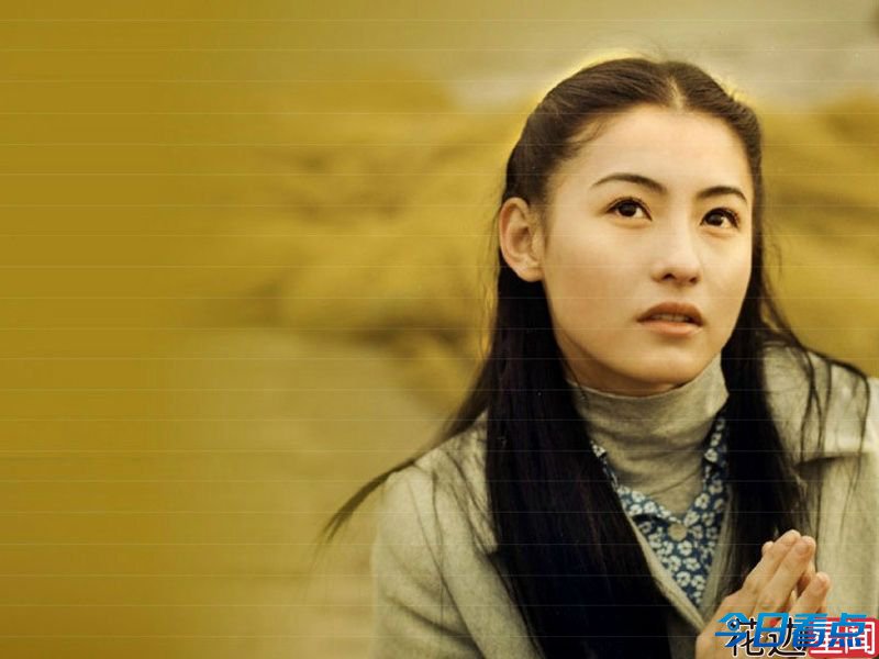 张柏芝姚笛董洁 一夜之间名誉扫地的10大女星