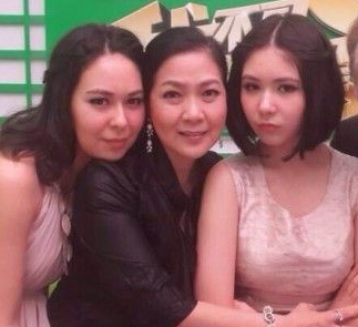 李小璐刘亦菲 那些比女儿还美的星妈