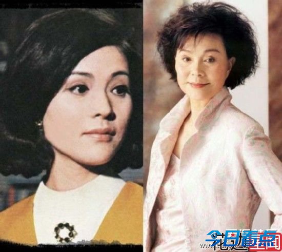 林青霞赵薇范冰冰 细数琼瑶戏力捧的美女明星