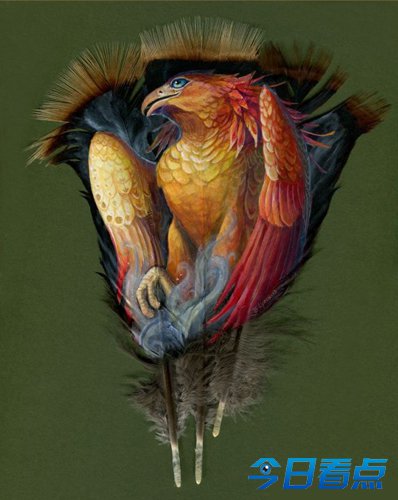 美艺术家羽毛上描画动物肖像