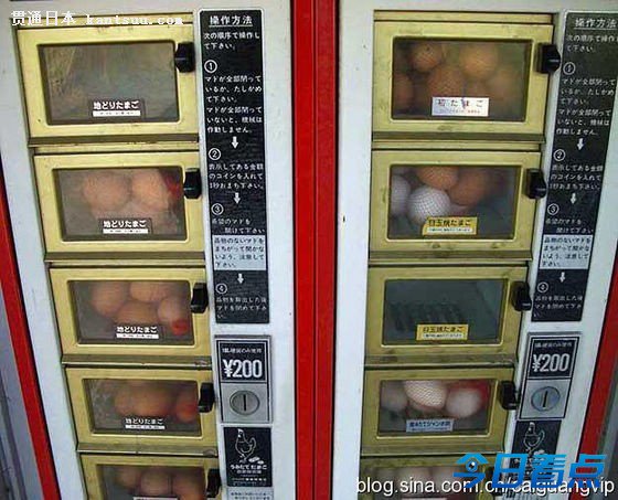 无标题