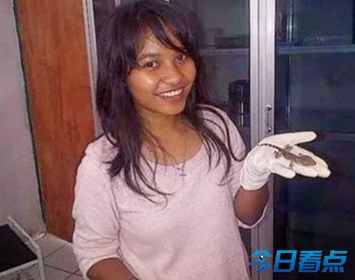 印尼女子怀胎8月竟产下一只壁虎