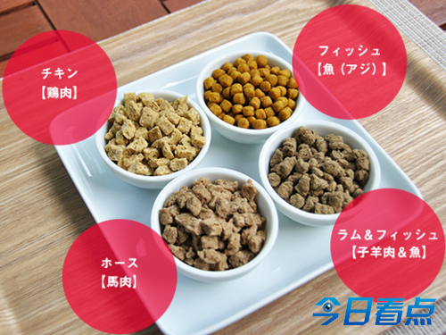 日本7大离奇又荒唐的职业