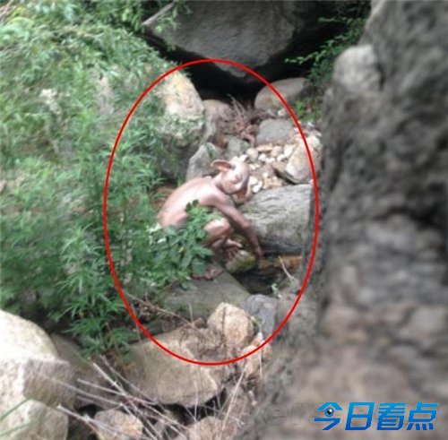网曝北京怀柔惊现怪兽照