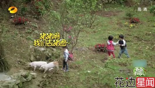 酷娃费曼不会做饭 老爸吴镇宇为儿媳捉急