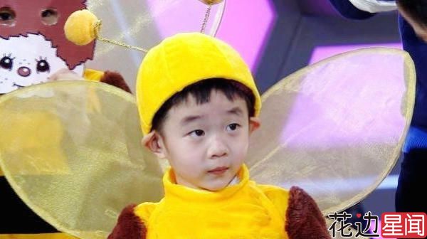 杨阳洋刘亦菲住址被曝光 众明星个人信息遭泄露