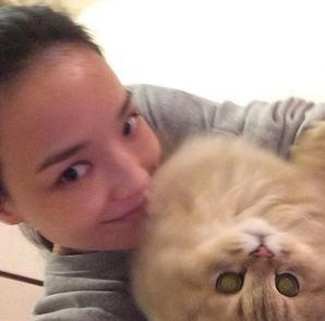 冯德伦厌旧 弃女舒淇勾引A货崔始源