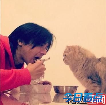 冯德伦厌旧 弃女舒淇勾引A货崔始源