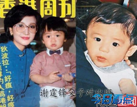 张柏芝大儿子长残 网友：像乡村版陈冠希