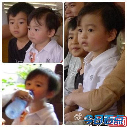 张柏芝大儿子长残 网友：像乡村版陈冠希