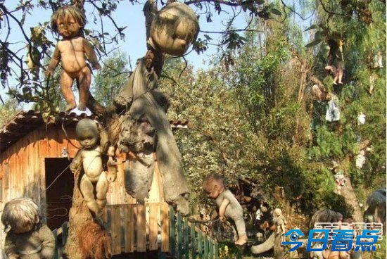 美国51区 世界上最神秘的十个地方