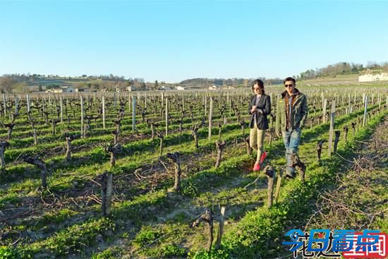 探秘赵薇法国千万酒庄 曾为皇室所有