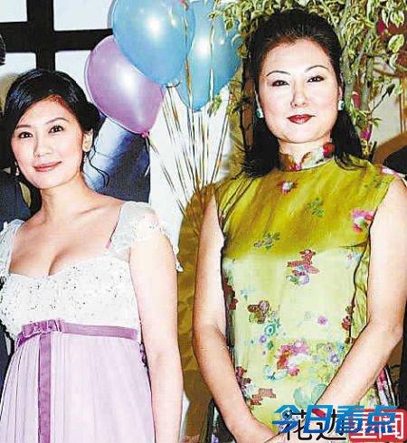 细数娱乐圈婆媳不和内幕