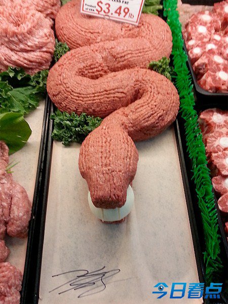 摆肉大叔创作逆天生肉雕