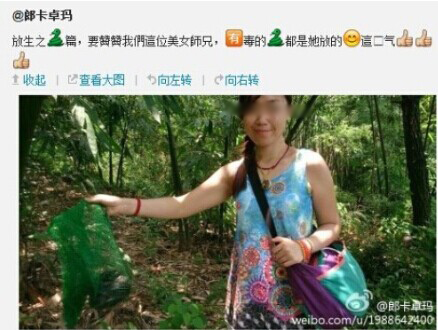 女子公园放生五步蛇称积德