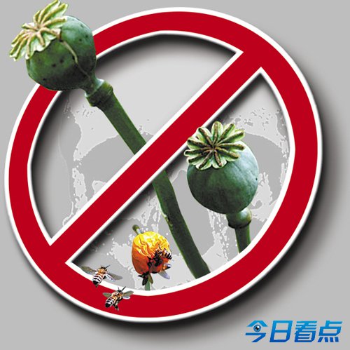 吸毒宴