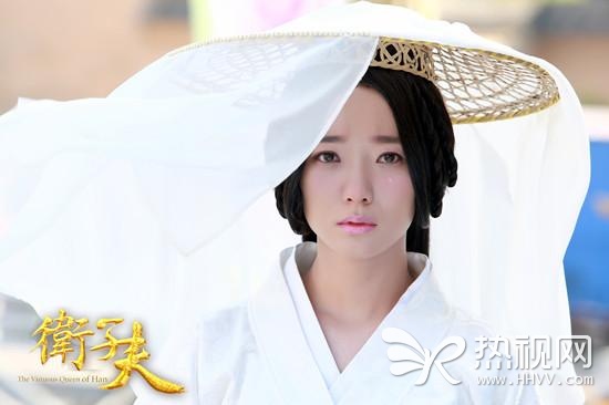 《卫子夫》收视第一