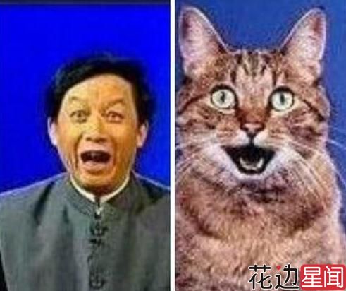 凤姐心情好晒照 竟撞脸身后猿猴疑似姐弟