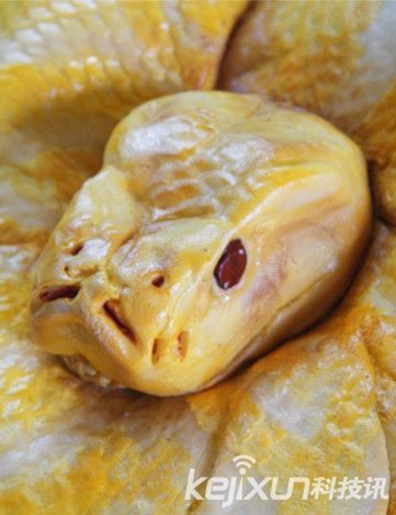 盘点世界各地的黑暗料理：人类头颅蟒蛇蛋糕