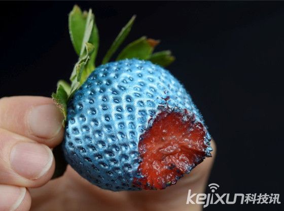 盘点世界各地的黑暗料理：人类头颅蟒蛇蛋糕