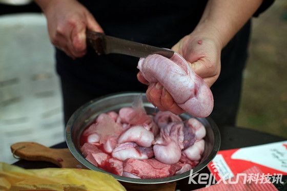 盘点世界各地的黑暗料理：人类头颅蟒蛇蛋糕