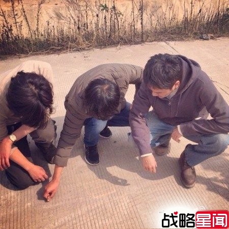 林志玲毁容丑照惊曝光 眼凸面干吓呆网友