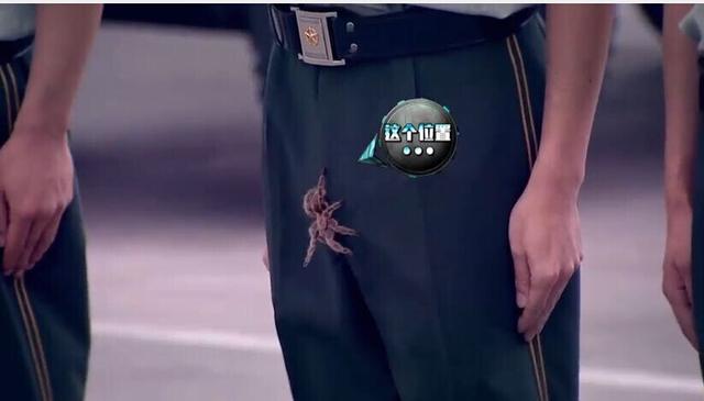 男星录节目遭蜘蛛爬下体 网友：感到蛋疼