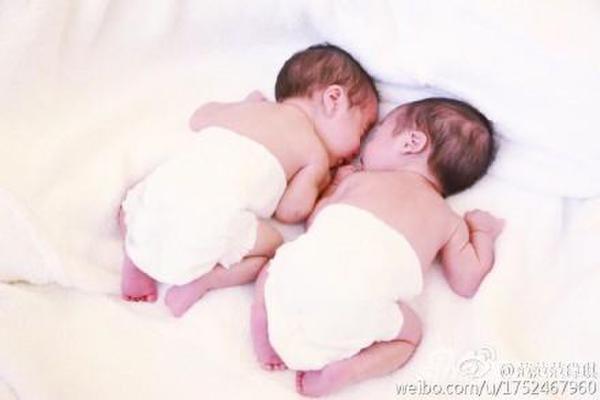 范玮琪晒熊猫兄弟趴照 网友直呼被萌化(图)